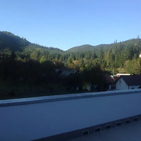 Casa Avram Guest house