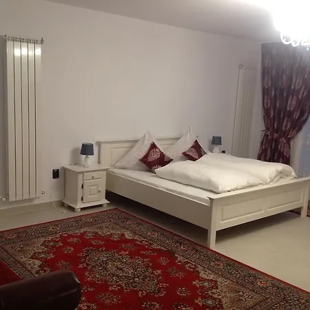 Casa Avram Guest house *