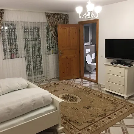 Casa Avram Guest house *