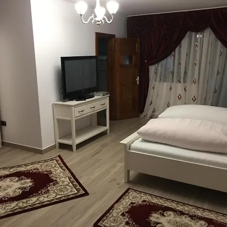 Casa Avram Guest house Sucevita